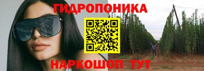 эйфоретик Лесосибирск