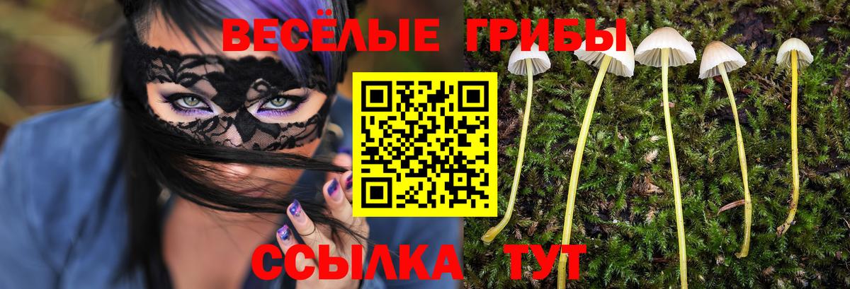 Чистополь  Псилоцибиновые грибы ЛСД  Вход с VPN  закладки  Псилоцибиновые грибы мицелий 