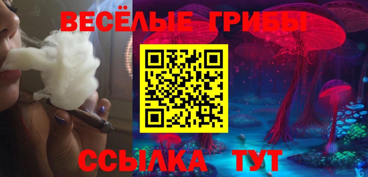 Галлюциногенные грибы GOLDEN TEACHER Чистополь